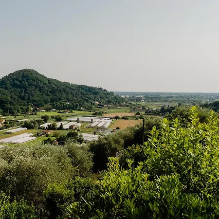 La Tana Del Geco